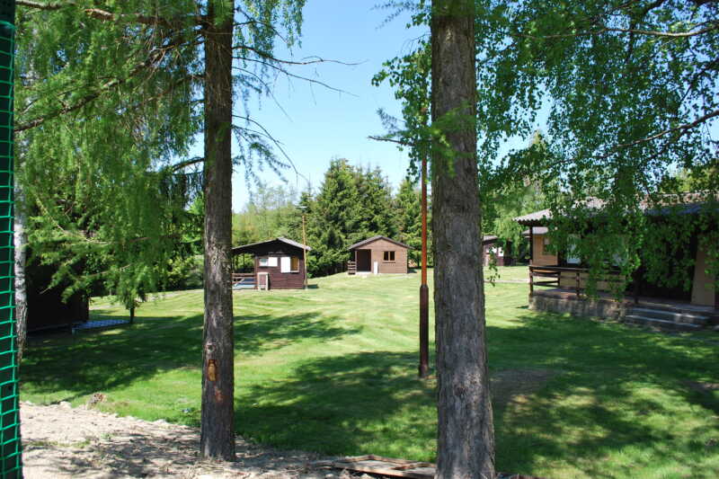 Stíny vzrostlých smrků a zelená tráva